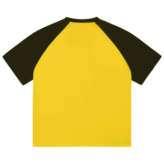 Color-Blocked Raglan Sleeve T-Shirt